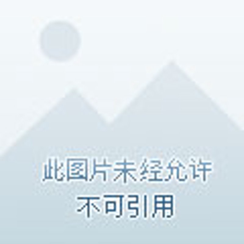 秀尚贸易：从新手到行家的蜕变之路